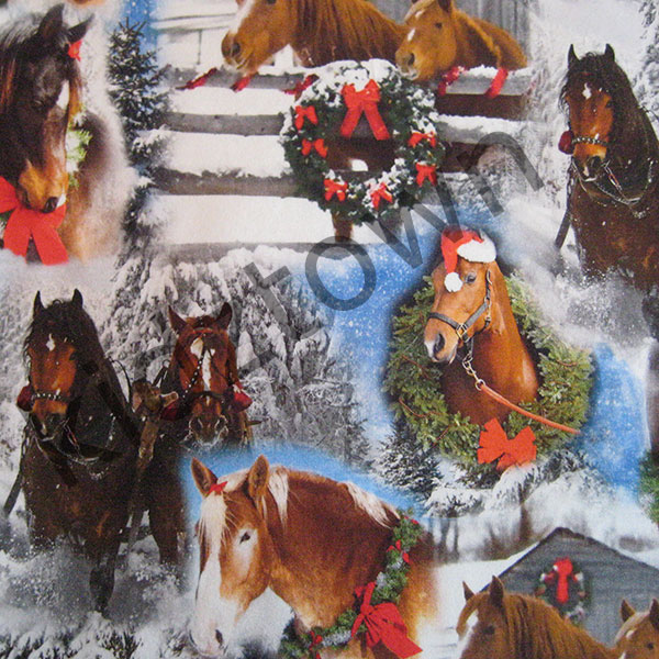 Heste i sneen